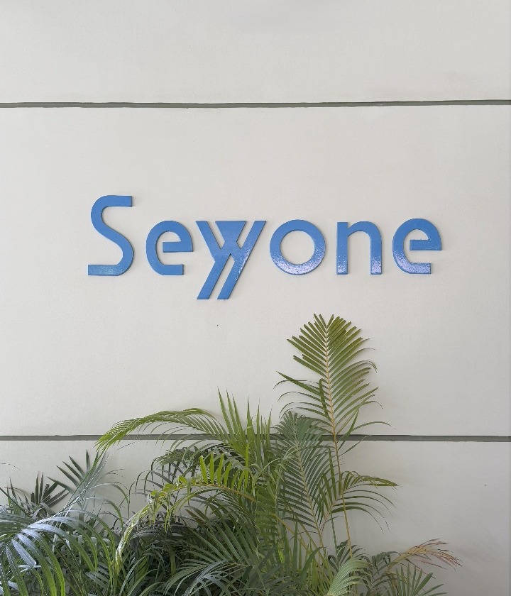 About Seyyone